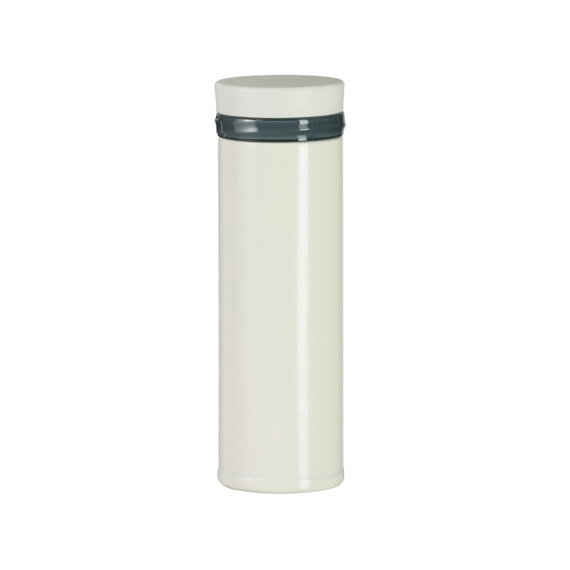 350ml Straight Drinking Water Cup Stainless Steel Straight Vacuum Bottle Frosted PP Cup Lid