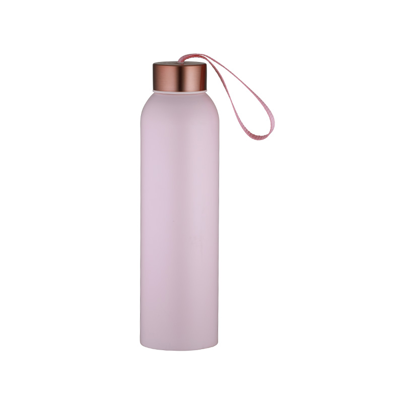 650ml Single-Layer Handle Stainless Steel Sports Bottle Outdoor Portable Lightweight Cup